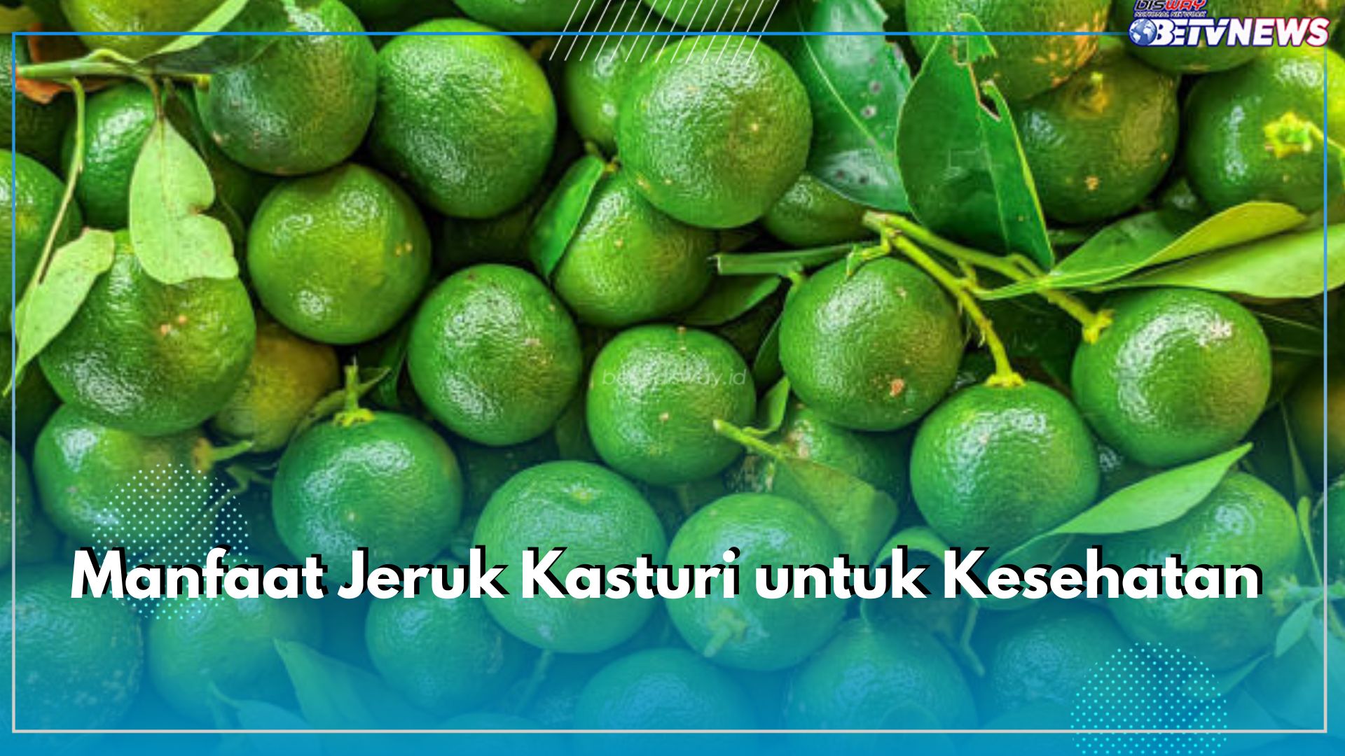 Dibalik Asamnya Jeruk Kasturi, Ini Sederet Manfaatnya untuk Kesehatan, Cari Tahu di Sini