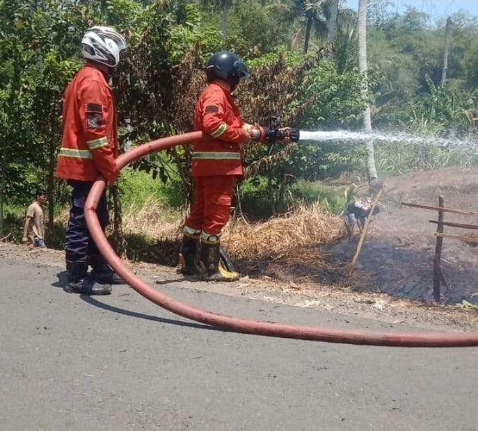 Damkar Kota Bengkulu Catat 90 Kasus Kebakaran Sepanjang 2024, Didominasi Kebakaran Lahan