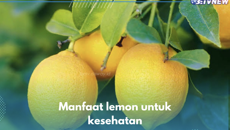 Bantu Cegah Infeksi, Lemon Tawarkan 9 Manfaat Kesehatan Ini untuk Tubuh