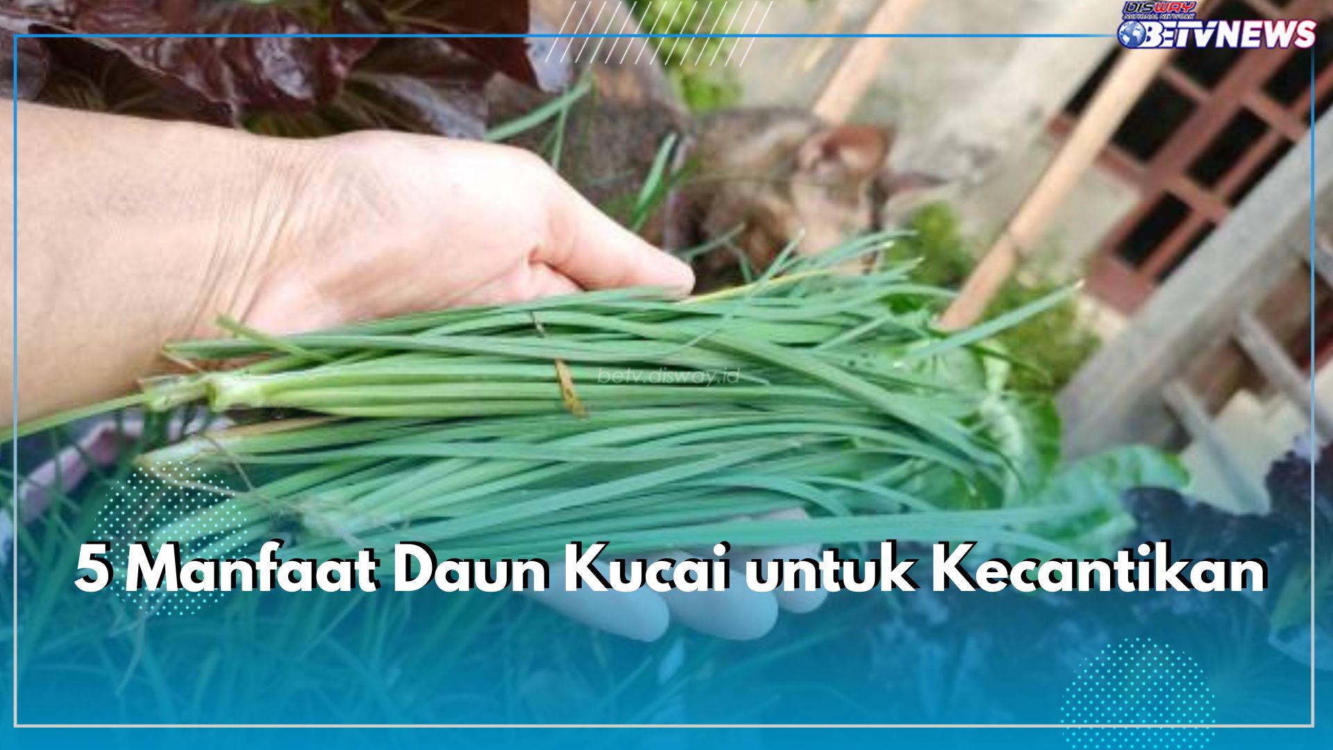 Alternatif Alami Perawatan Kulit, Inilah 5 Manfaat Daun Kucai untuk Kecantikan