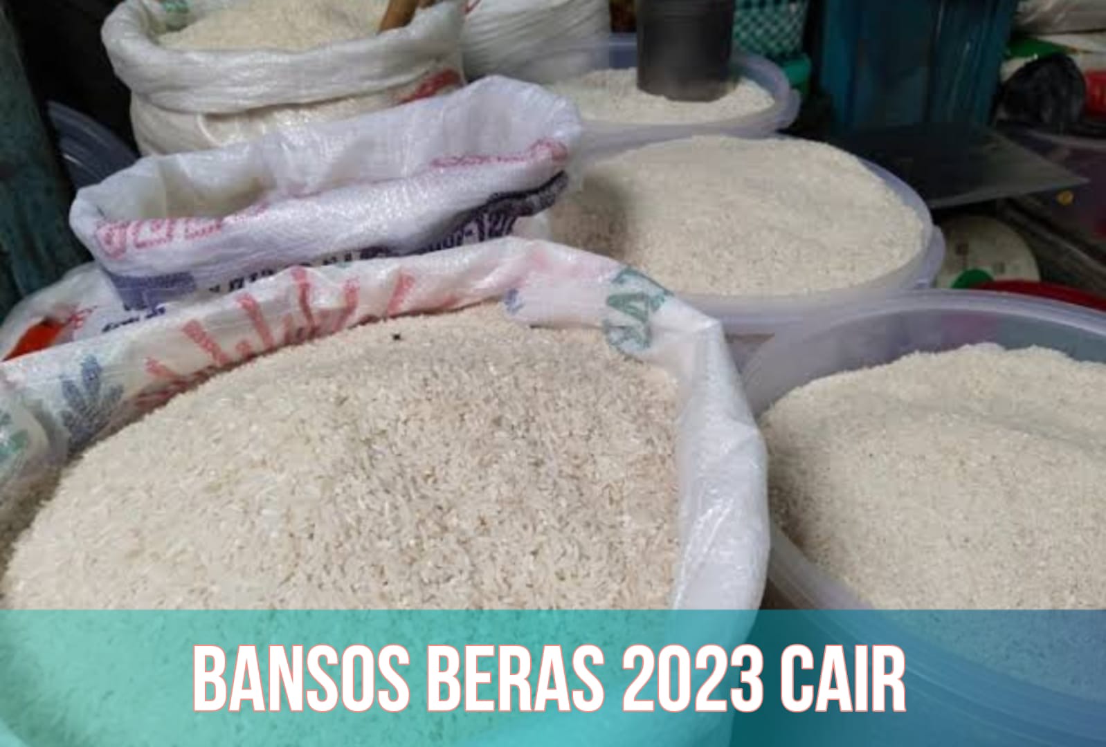 Beras 30 Kg Siap Dibawa Pulang Penerima Bansos PKH dan BPNT, Segera Cek Link Ini, Pastikan Nama Kamu Termasuk