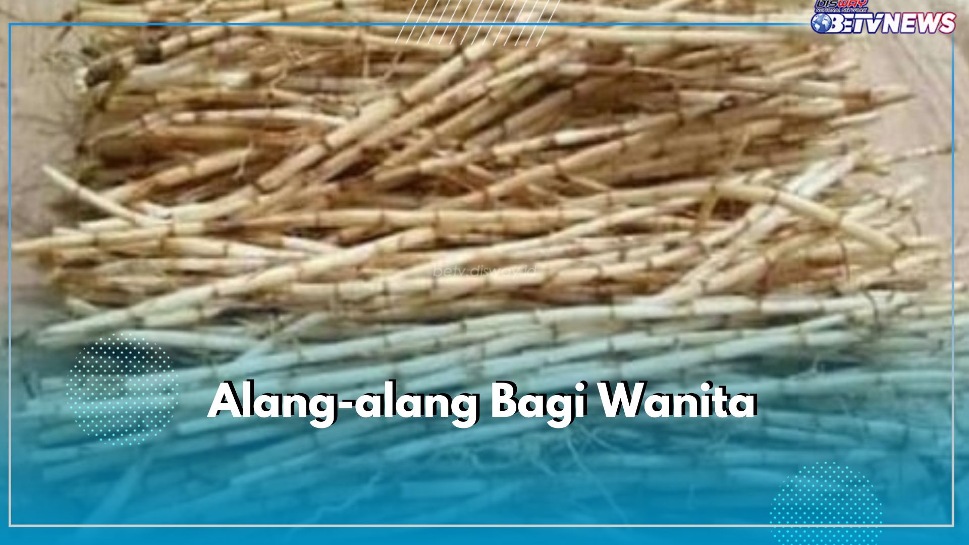 8 Manfaat Tersembunyi Akar Alang-alang Bagi Wanita, Kamu Wajib Tahu!