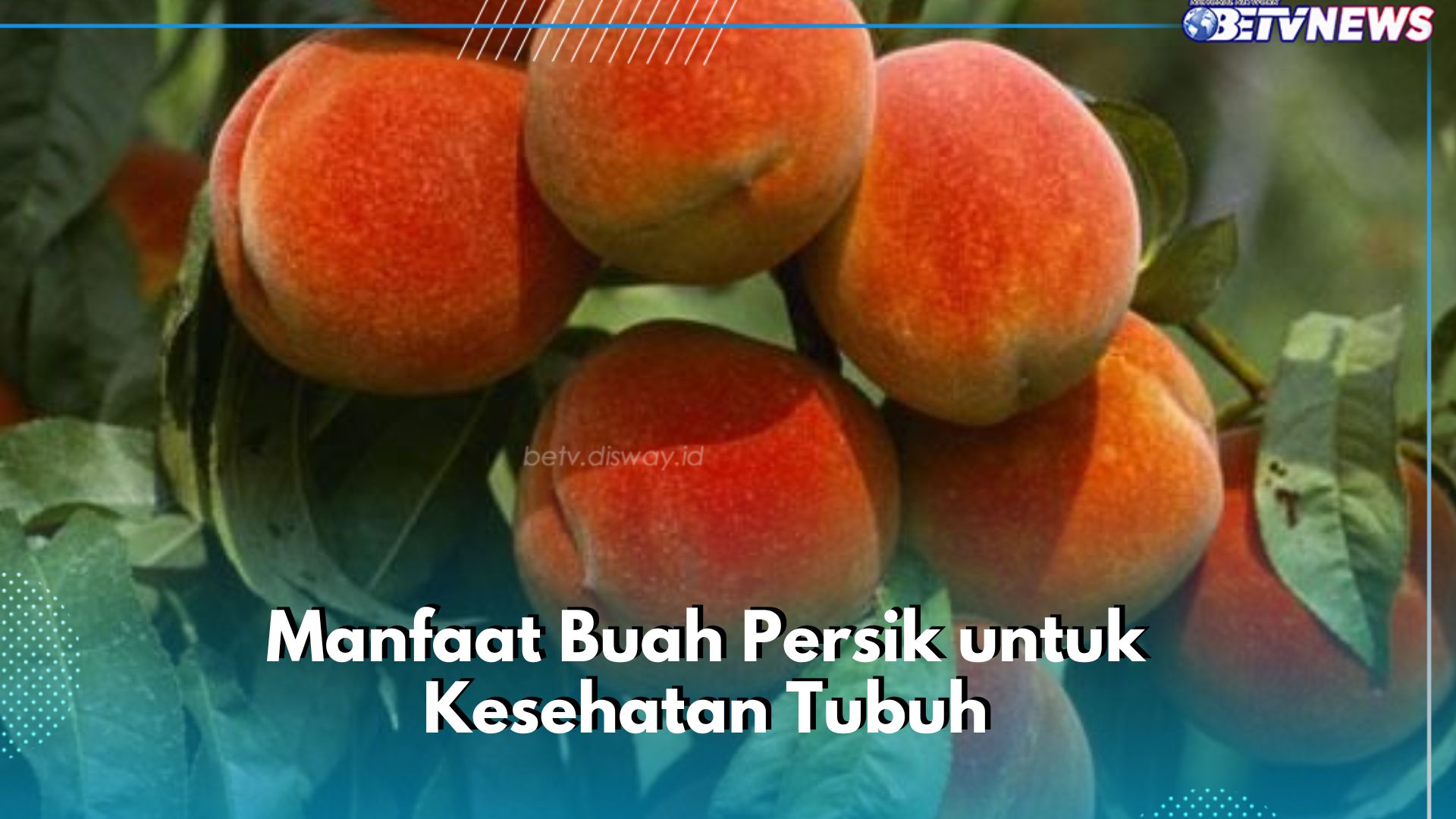 Buah Persik Ampuh Membuat Mata Tetap Sehat, Cek Manfaat Rincinya di Sini
