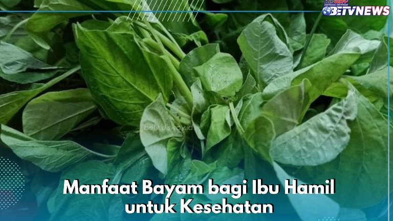 Ampuh Meningkatkan Kekebalan Tubuh, Ini Manfaat Lain Bayam yang Ditawarkan