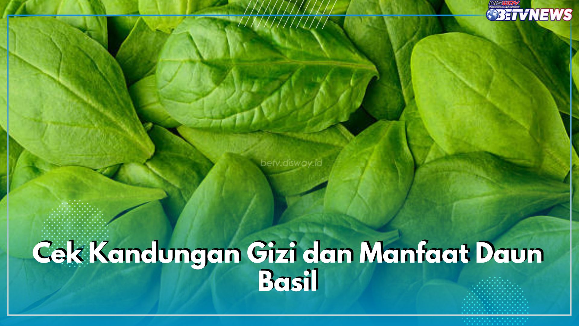 Cek Kandungan dan Manfaat Daun Basil untuk Kesehatan, Tawarkan Beragam Khasiat Tak Terduga Bagi Tubuh