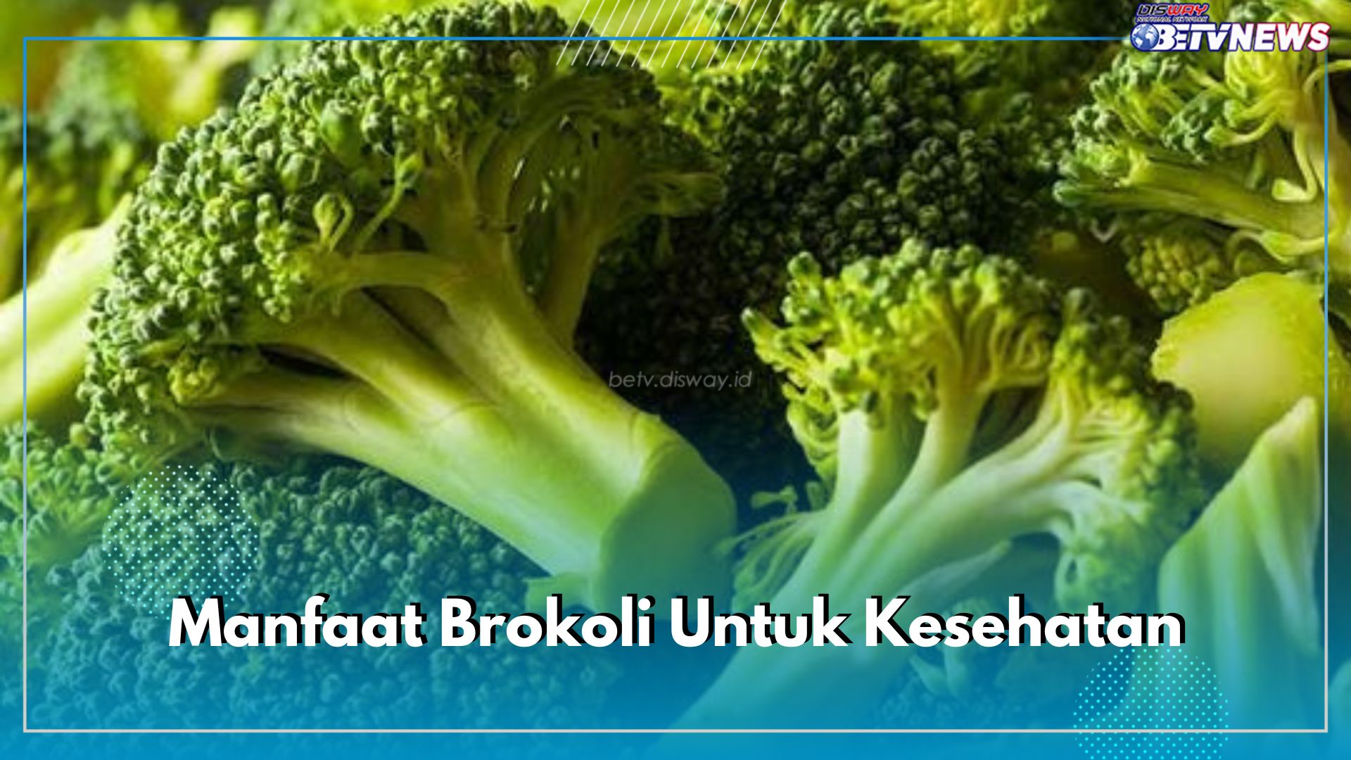 Brokoli Punya Segudang Manfaat Untuk Kesehatan, Efektif Hempaskan 5 Penyakit Ini dari Dalam Tubuh