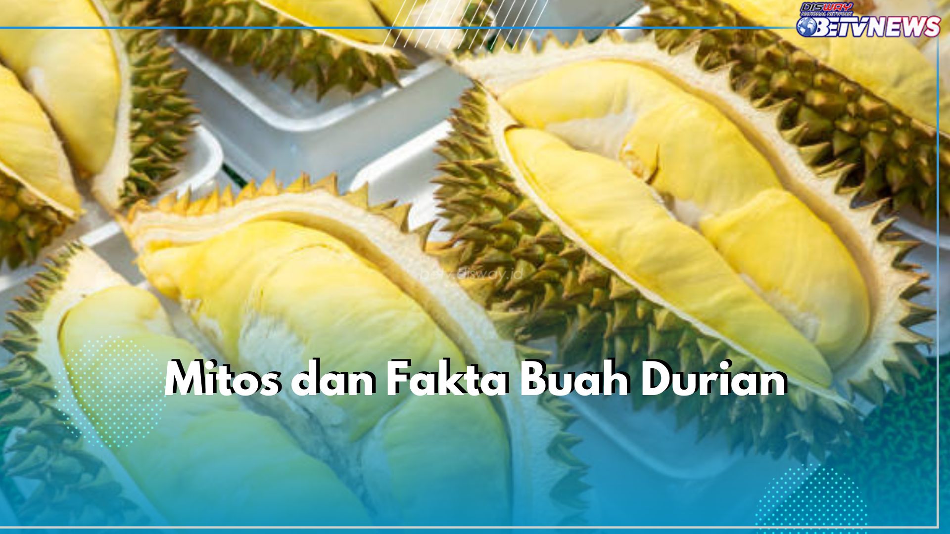 Benarkah Durian Tinggi kolesterol? Cek Mitos dan Fakta Buah Durian Ini dan Temukan Jawabannya!