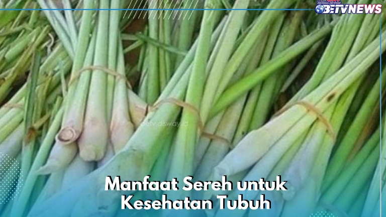 Manfaat Lain Konsumsi Sereh bagi Kesehatan Tubuh, Dipercaya Bisa Mengatasi Ruam Kulit