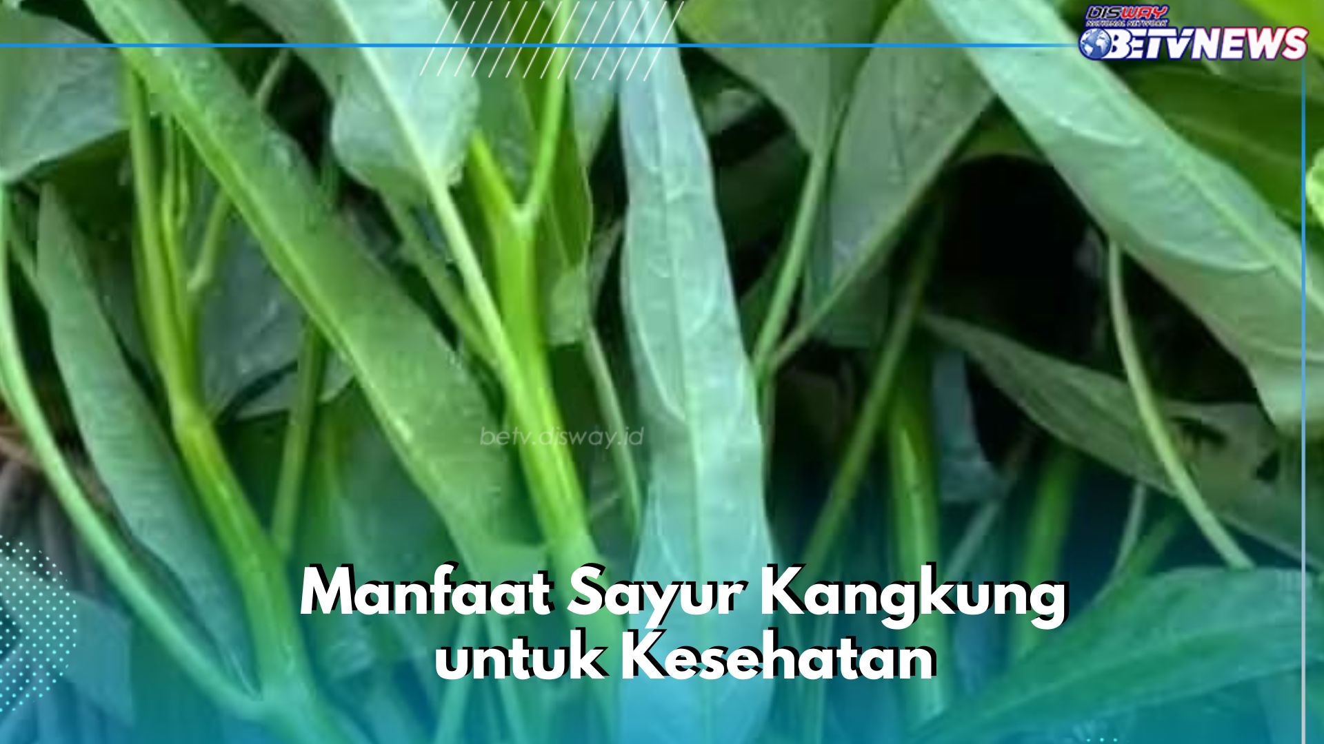 Sayur Kangkung Dapat Mencegah Diabetes, Cek Manfaat Lengkapnya di Sini