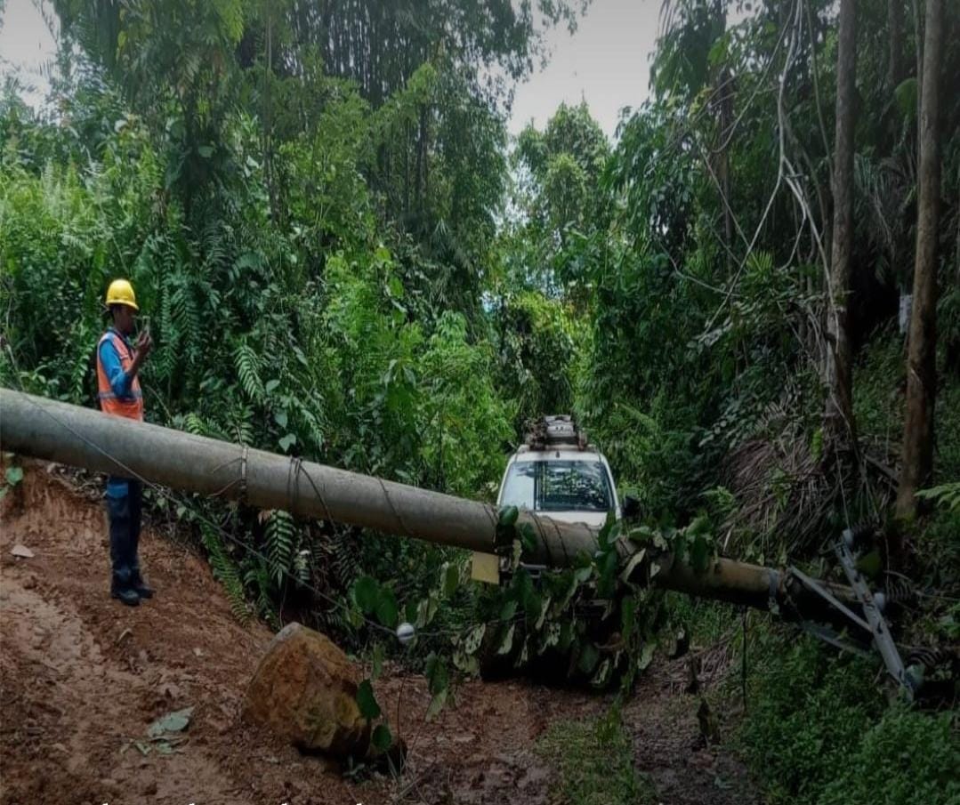 6 Tiang Listrik di Seluma Roboh Akibat Cuaca Ekstrem, PLN Lakukan Pemadaman