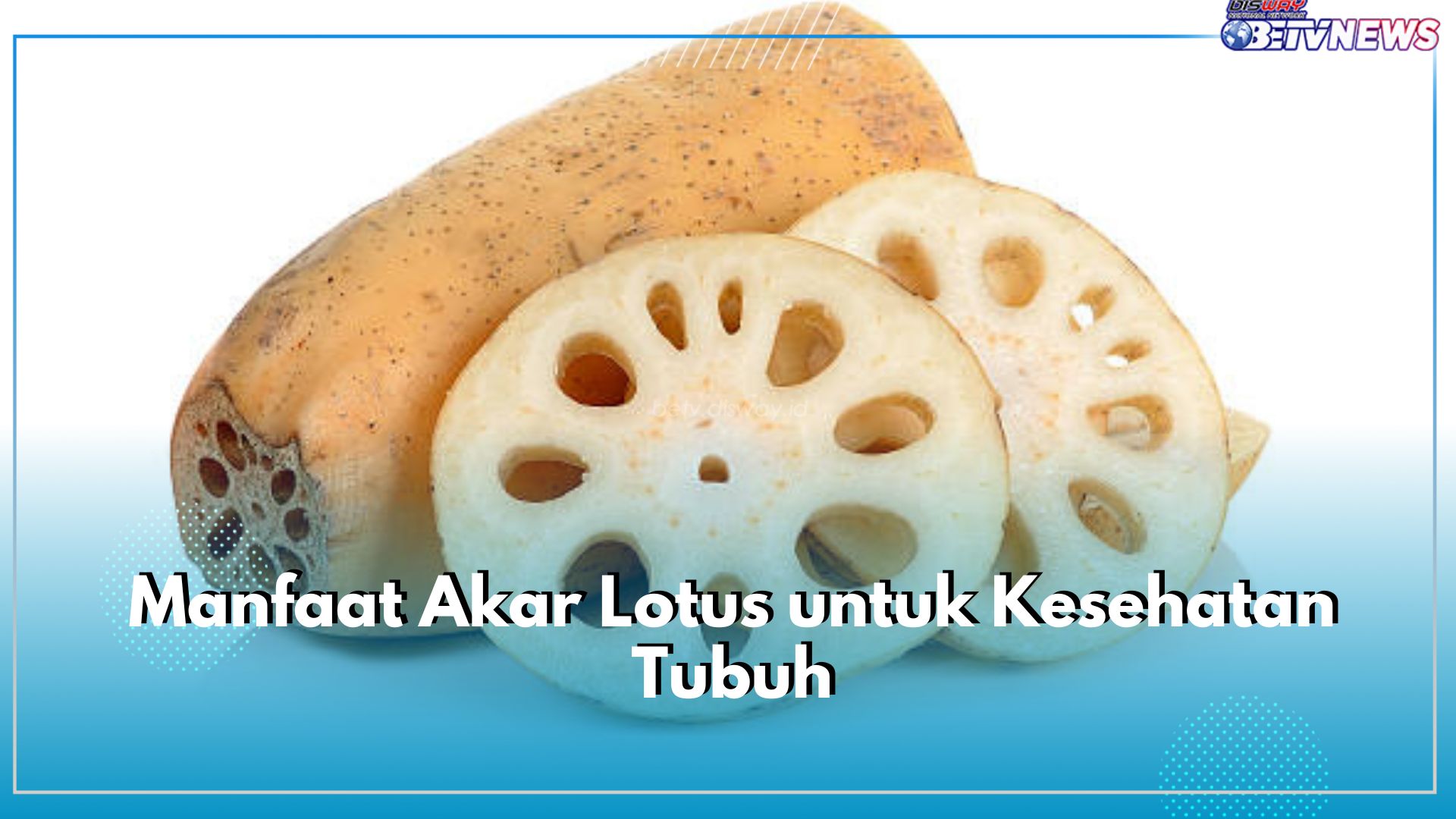 Akar Lotus, Ini 8 Manfaatnya untuk Kesehatan yang Jarang Sekali Diketahui
