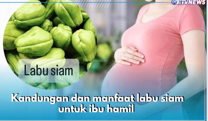 6 Manfaat Labu Siam untuk Ibu Hamil, Lindungi Janin hingga Lancarkan Pencernaan, Cek Kandungannya