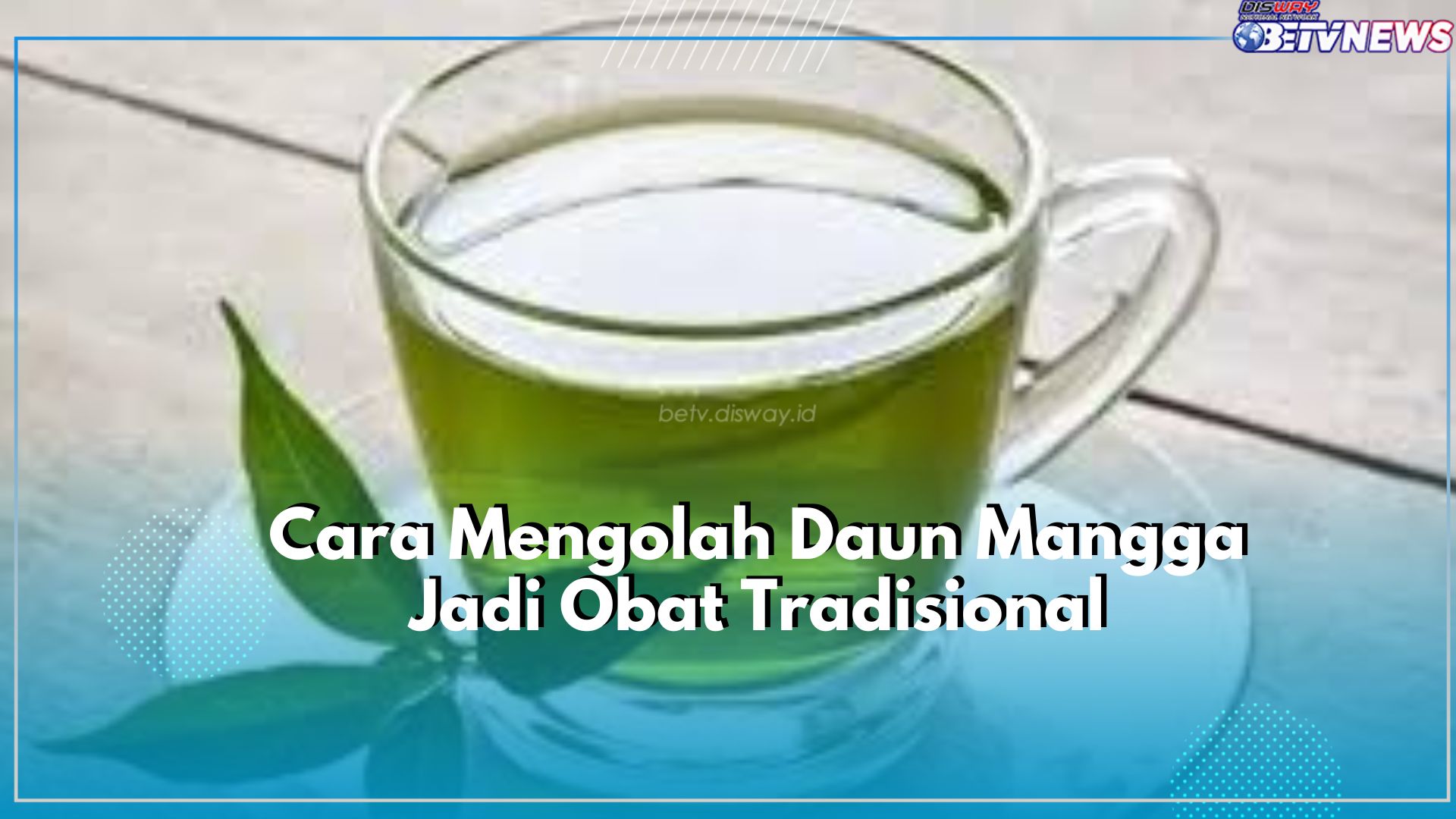 Kenali Cara Mengolah Daun Mangga Jadi Obat Tradisonal, Terbukti Ampuh Menangkal Penyakit