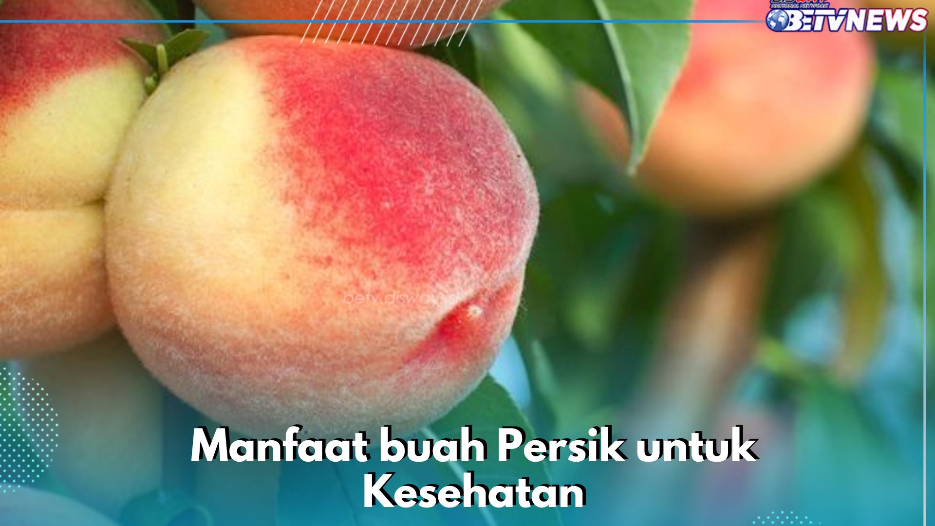Buah Persik Aman Dikonsumsi, Cek Manfaatnya di Sini! Dipercaya Dapat Menjaga Kesehatan Kulit