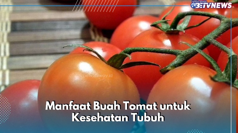 Dapat Mengontrol Tekanan Darah, Ini Manfaat Konsumsi Buah Tomat Sehari-hari