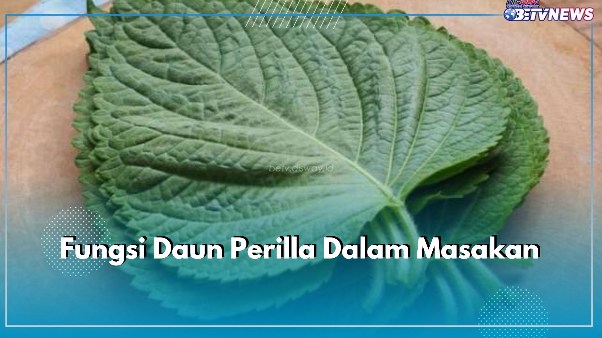 Populer di Korea, Daun Perilla Punya 6 Fungsi Ini Dalam Masakan, Apa Saja?