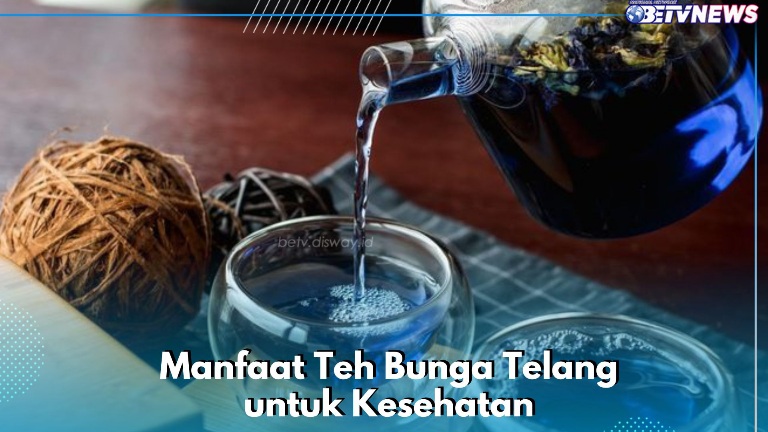 Minuman Teh Bunga Telang Ini Punya Manfaat bagi Kesehatan, Dipercaya Dapat Menjaga Pencernaan