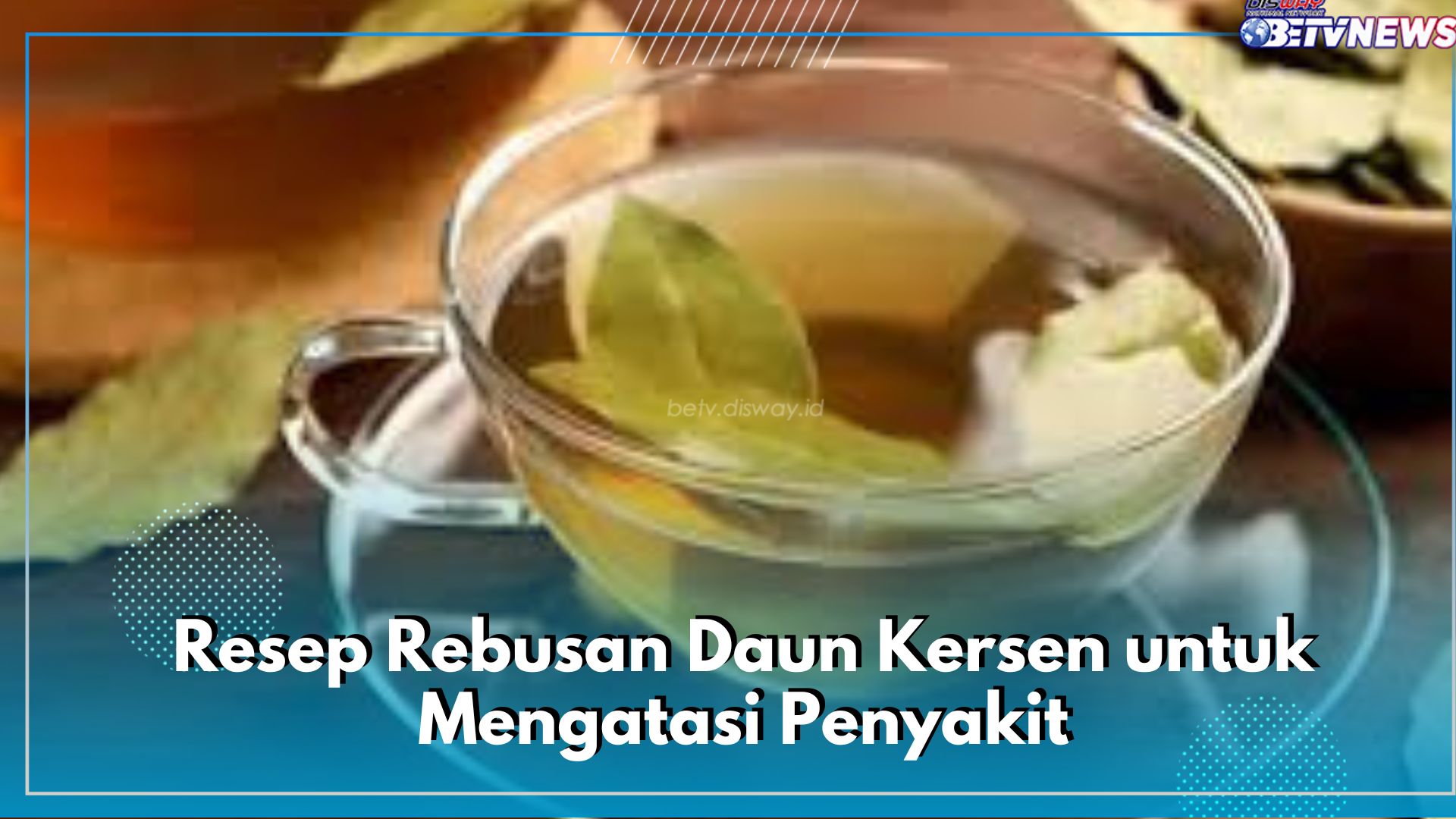 Atasi Diabetes hingga Batuk, Ini 5 Resep Rebusan Daun Kersen untuk Atasi Beragam Penyakit, Cek Segera!