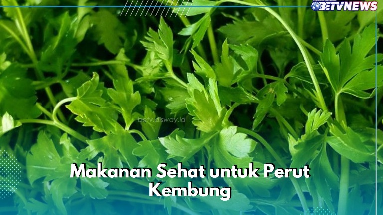 Makanan Sehat yang Aman untuk Tubuh, Bisa Mengatasi Perut Kembung, Cek Rekomendasinya di Sini