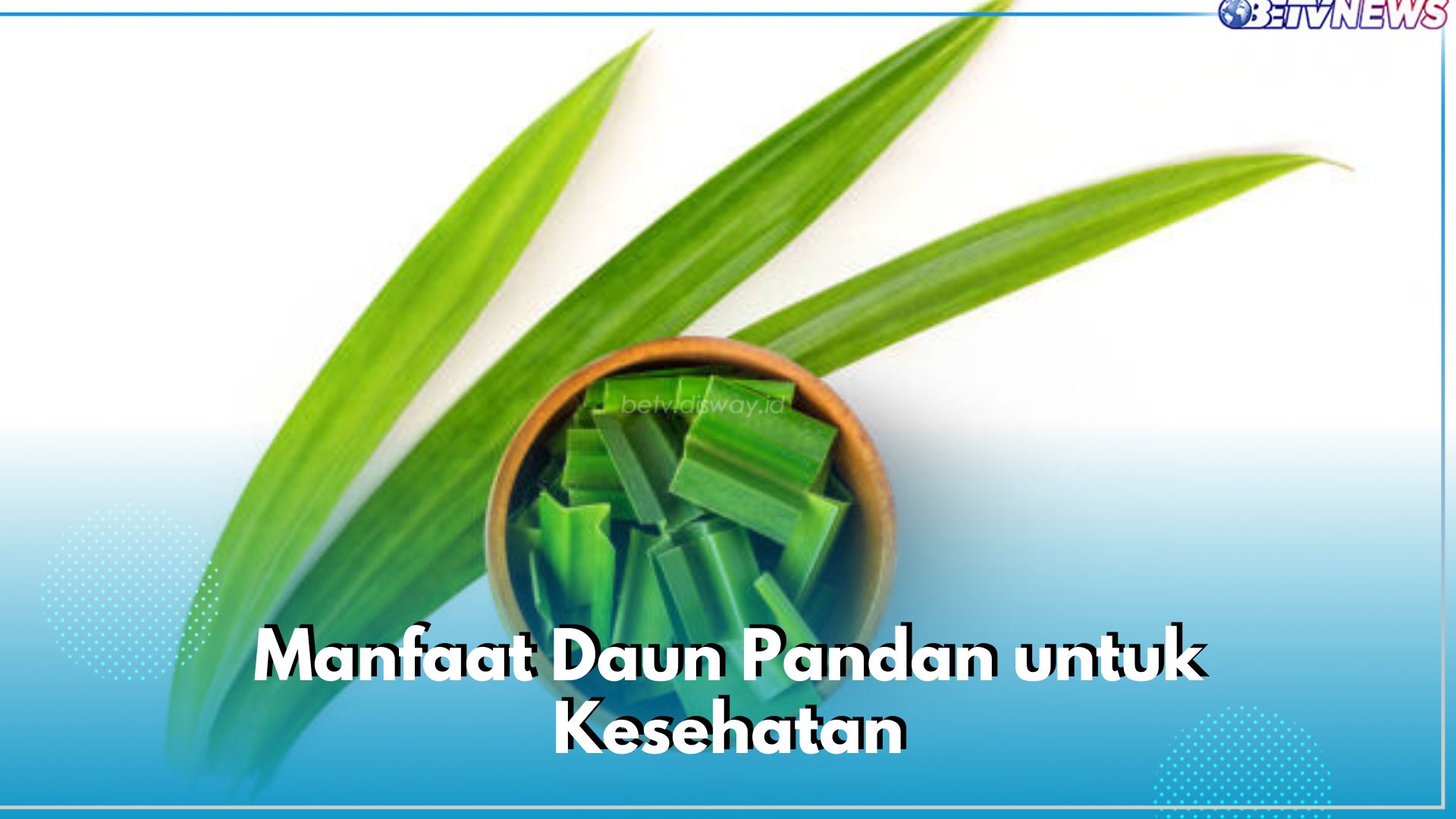 5 Manfaat Daun Pandan untuk Kesehatan, Salah Satunya Ampuh Turunkan Gula Darah