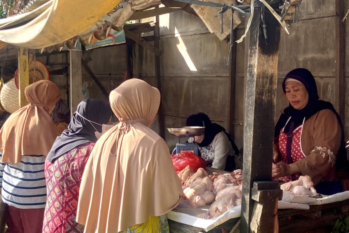 Jelang Nataru, Harga Ayam Potong dan Telur di Seluma Melonjak Naik