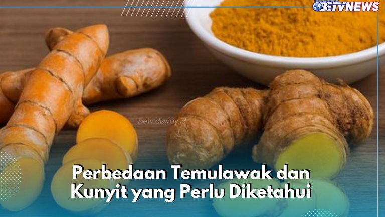 Masih Bingung? Ini Bedanya Temulawak dan Kunyit dengan Mudah, Baik bagi Kesehatan