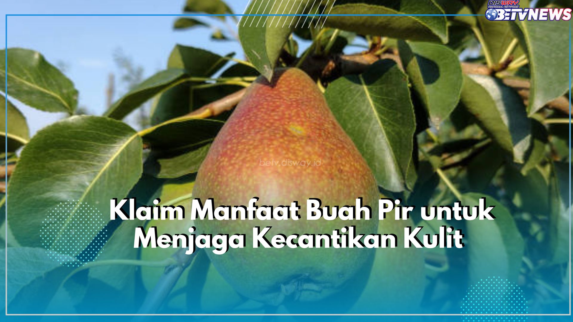 Mau Kulit Cerah Layaknya Artis Korea? Yuk Jaga Kecantikan Kulit dengan Buah Pir, Cek Manfaatnya Disini!