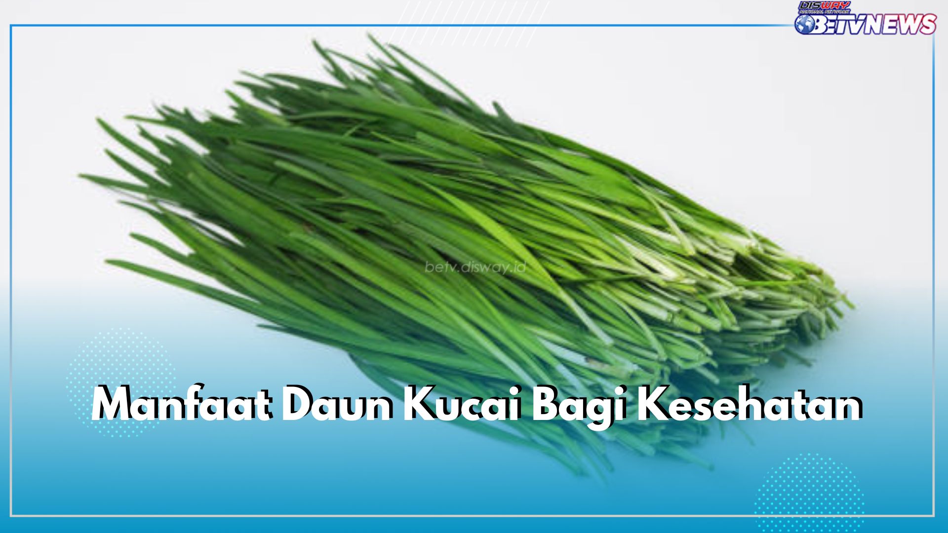 Belum Banyak Diketahui, Inilah 7 Manfaat Daun Kucai untuk Kesehatan Tubuh, Mulai dari Mata hingga Kulit