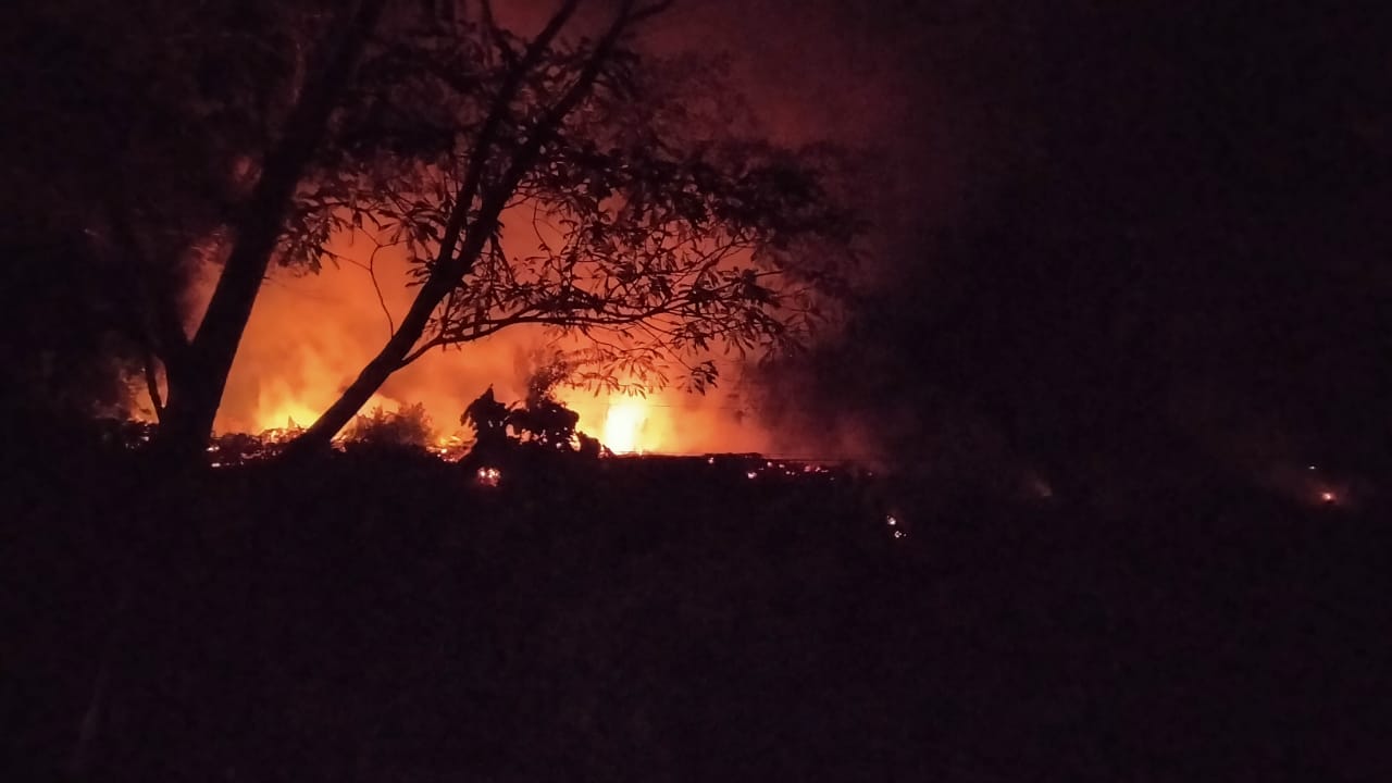 Api Berkobar Hebat di Lahan Sawit Jalinbar Seluma, Penyebab Kebakaran Belum Diketahui