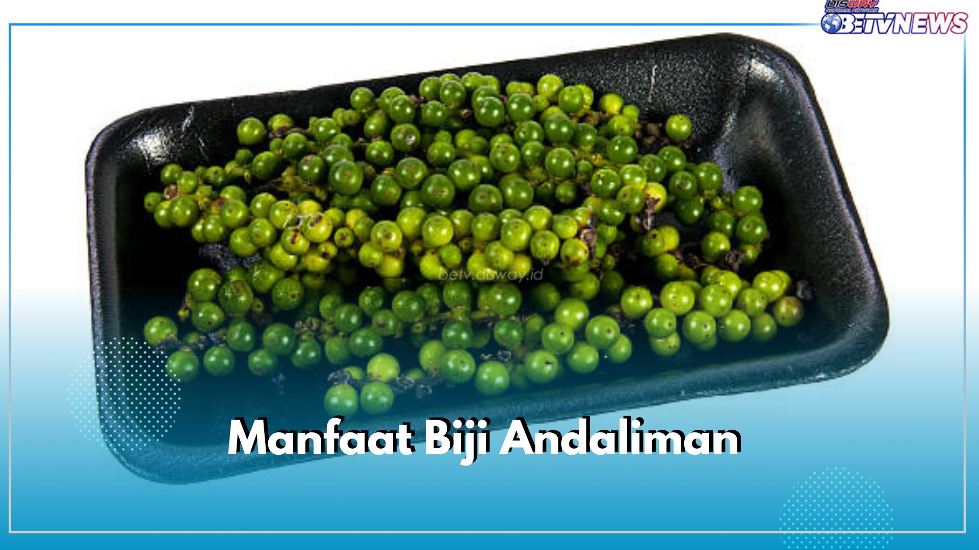 5 Manfaat Biji Andaliman, Selain Penyedap Masakan Rempah Ini Ampuh Melawan Infeksi