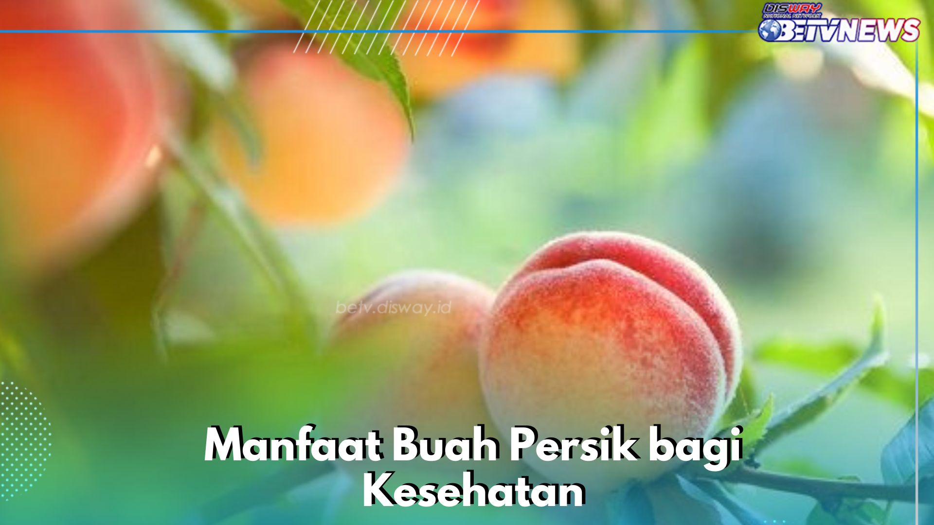 Buah Persik Bisa Mengatasi Peradangan, Simak Manfaatnya di Sini