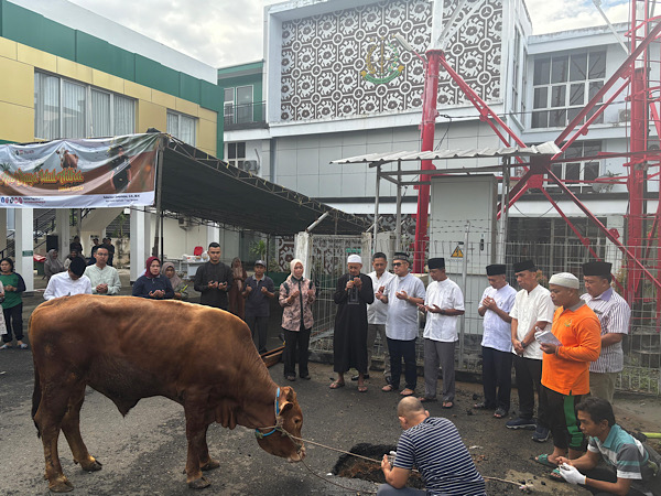 Hari Raya Idul Adha 2025, Kejati Bengkulu Kurban 14 Ekor Sapi untuk Warga dan Panti Asuhan