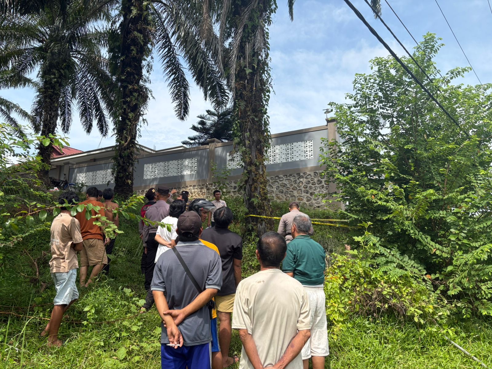 Tragis, Petani Sawit di Seluma Tewas Tersengat Listrik Saat Memanen