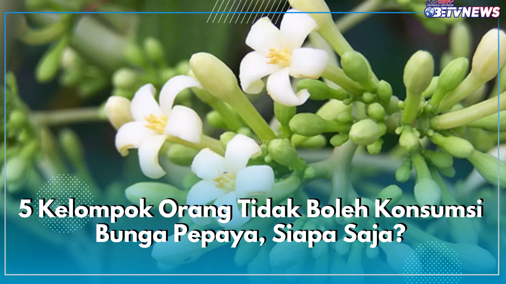 Jangan Gegabah! 5 Kelompok Orang Ini Tidak Boleh Mengonsumsi Bunga Pepaya, Siapa Saja?