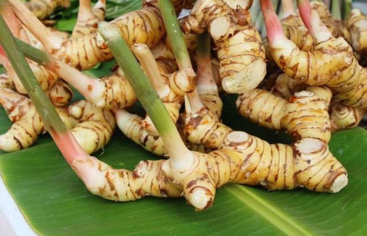 Perhatikan! Ini 5 Efek Samping Konsumsi Lengkuas Berlebihan 