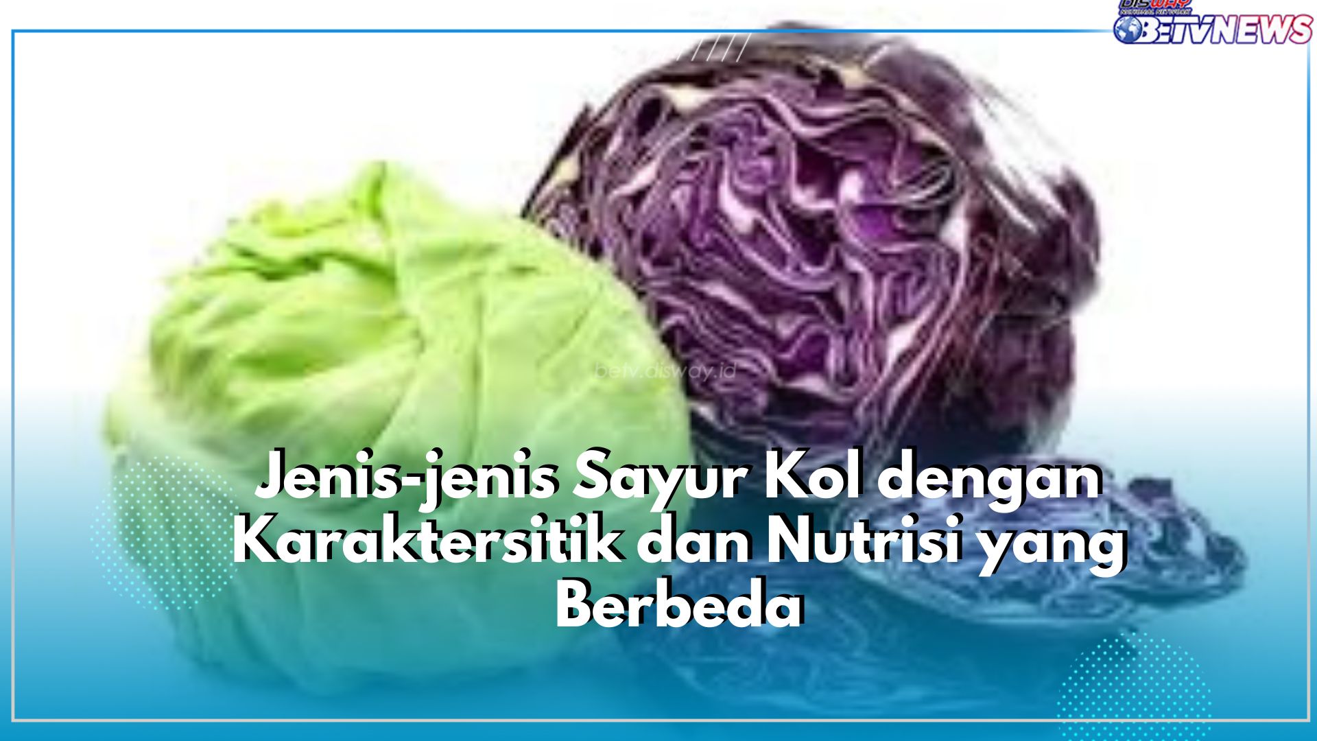 Punya Karakterstik dan Nutrisi yang Berbeda, Ini Dia Jenis-jenis Sayur Kol, Ada Kol Hijau hingga Kol Ungu
