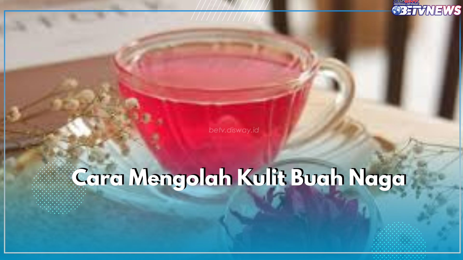 Cek Disini Cara Mudah untuk Membuat Minuman Herbal dari Kulit Buah Naga, Salah Satunya Teh Herbal
