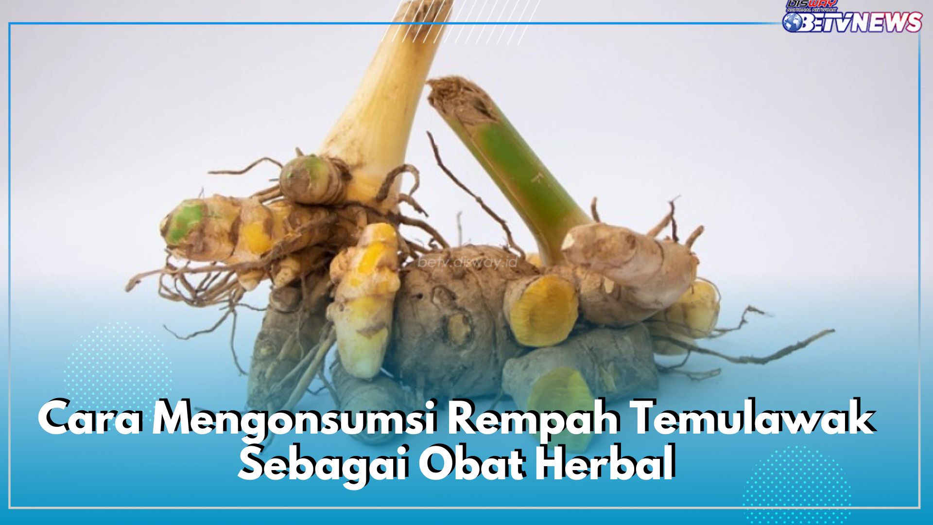 Jamu hingga Suplemen, Cek 5 Cara Mengonsumsi Rempah Temulawak Sebagai Obat Herbal, Jitu untuk Kesehatan Tubuh!