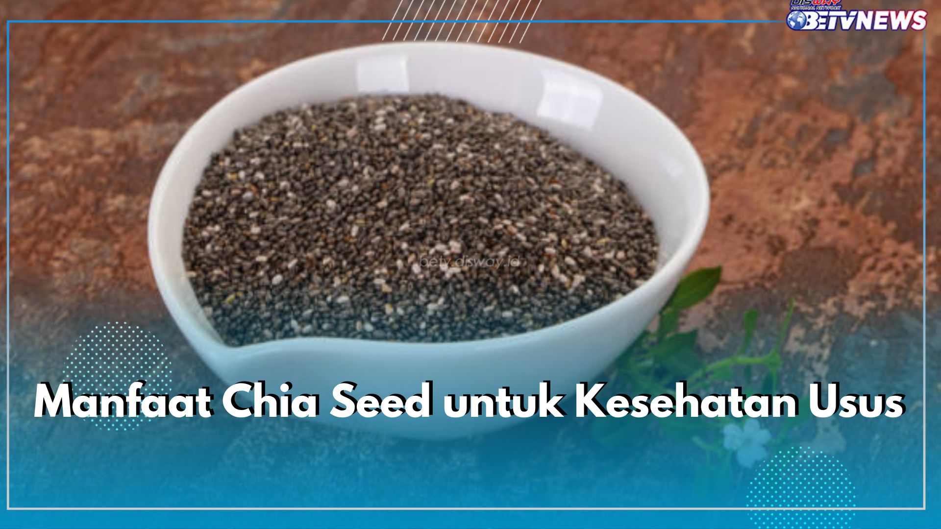 Tingkatkan Kesehatan Usus dengan Biji Chia Seed, Intip Kandungan Gizi di Dalamnya