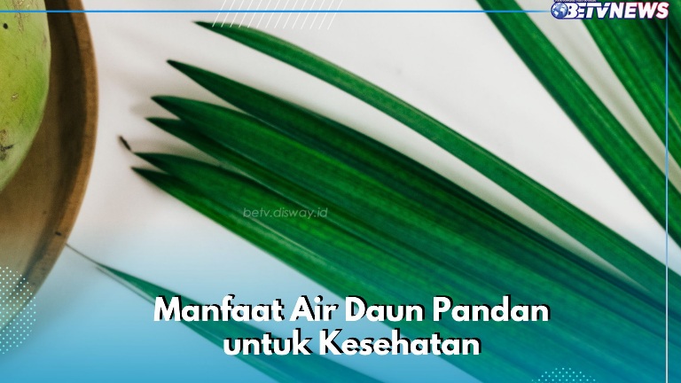 Minum Air Daun Pandan Ini! Ampuh Meningkatkan Nafsu Makan, Cek Manfaat Lainnya