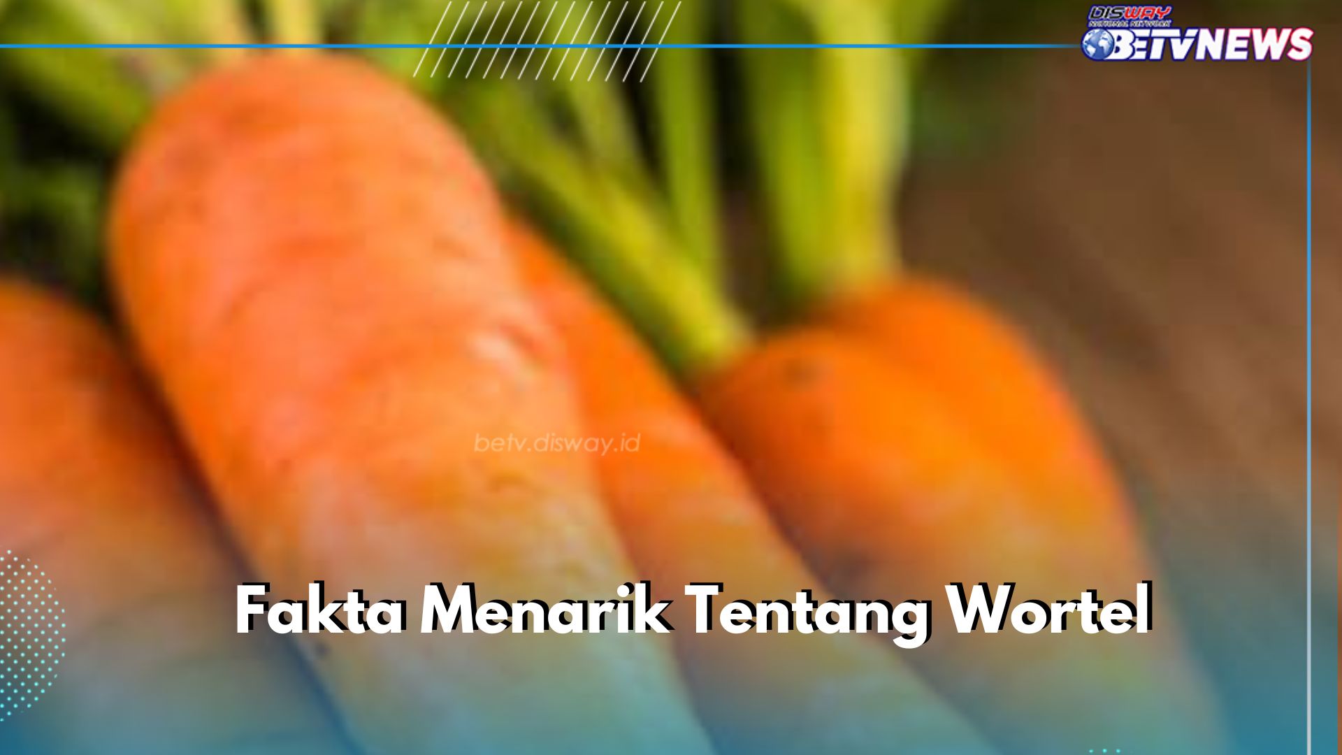 Jarang Diketahui, Ini Fakta Wortel yang Aman Dikonsumsi, Cek di Sini