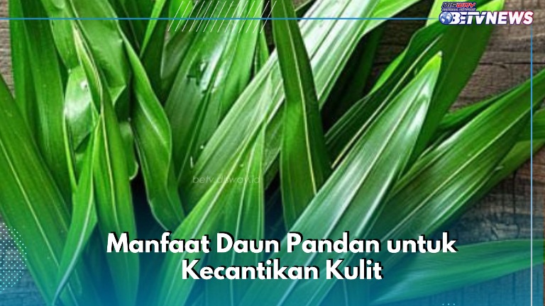 Cek Sekarang! Manfaat Lain Daun Pandan untuk Kecantikan, Ampuh Bikin Kulit Sehat Alami