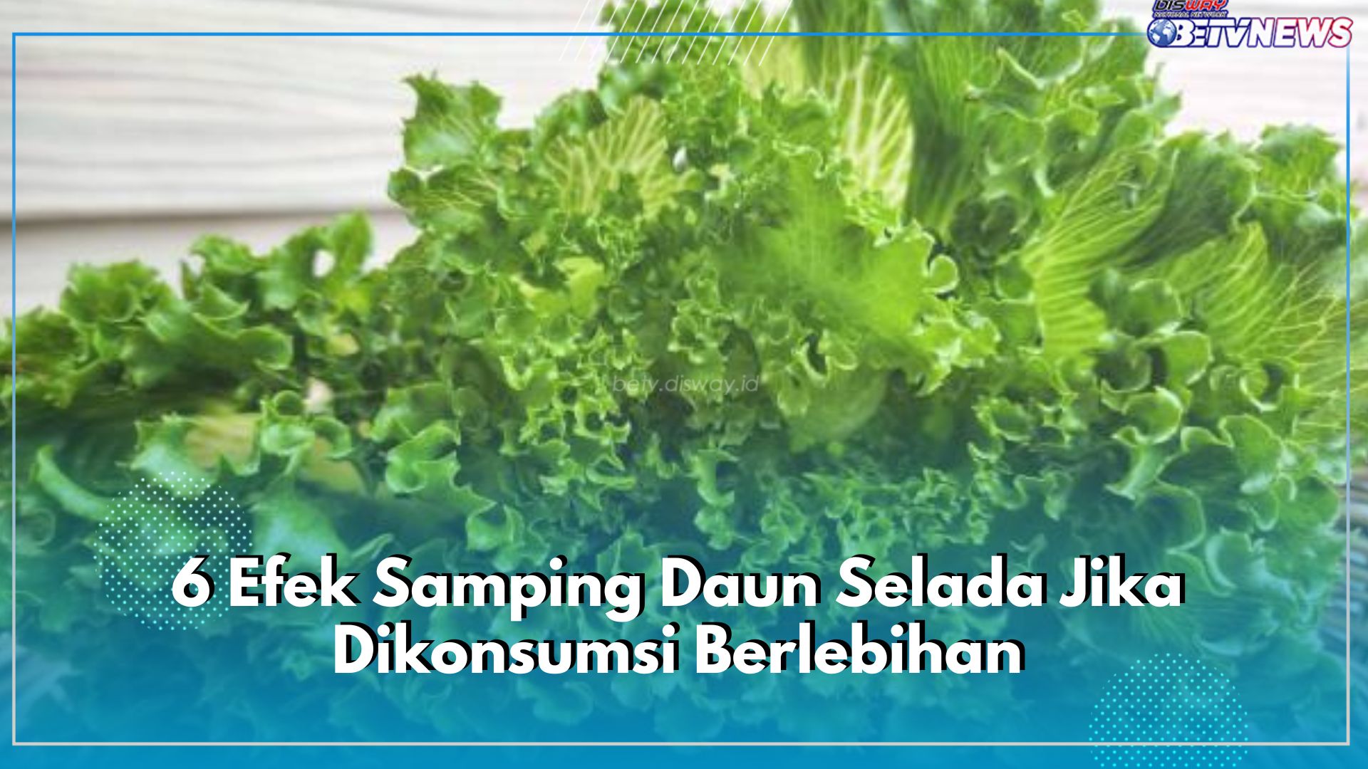 Bagus untuk Diet, Ketahui 6 Efek Samping Daun Selada Jika Dikonsumsi Berlebihan