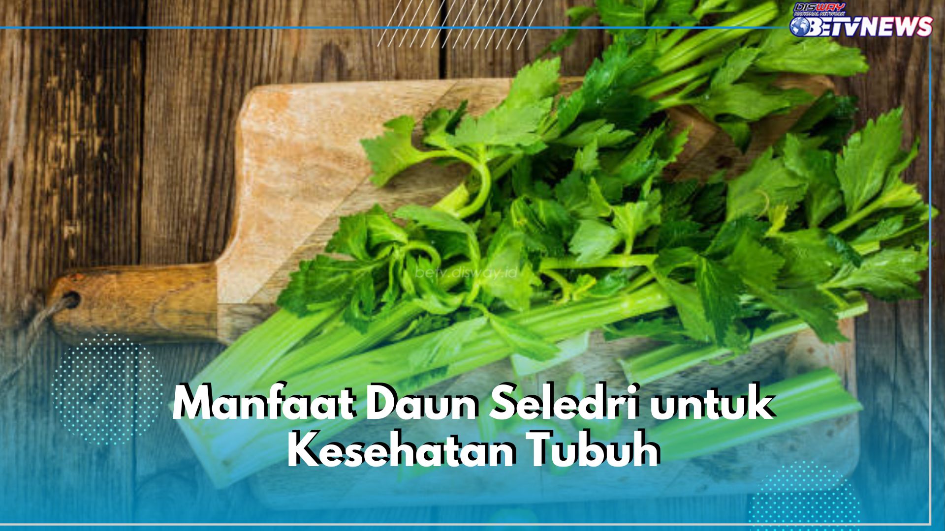 Jadi Sumber Antioksidan, Ini 6 Manfaat Daun Seledri untuk Kesehatan