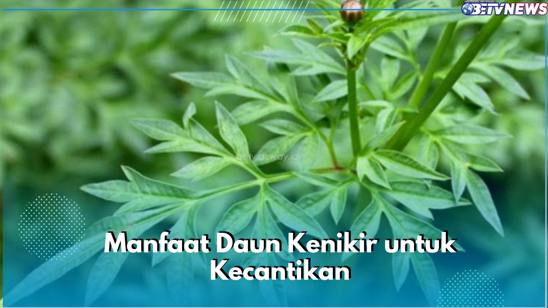 6 Manfaat Daun Kenikir untuk Kecantikan yang Tak Boleh Dilewatkan, Ampuh Halau Tanda Penuaan Dini