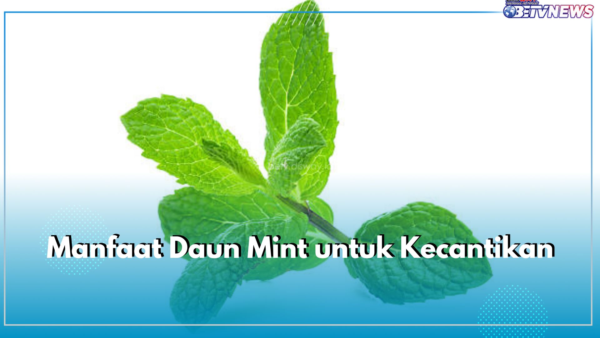 Ampuh Atasi Jerawat, Intip Sederet Manfaat Lain Daun Mint untuk Kecantikan 