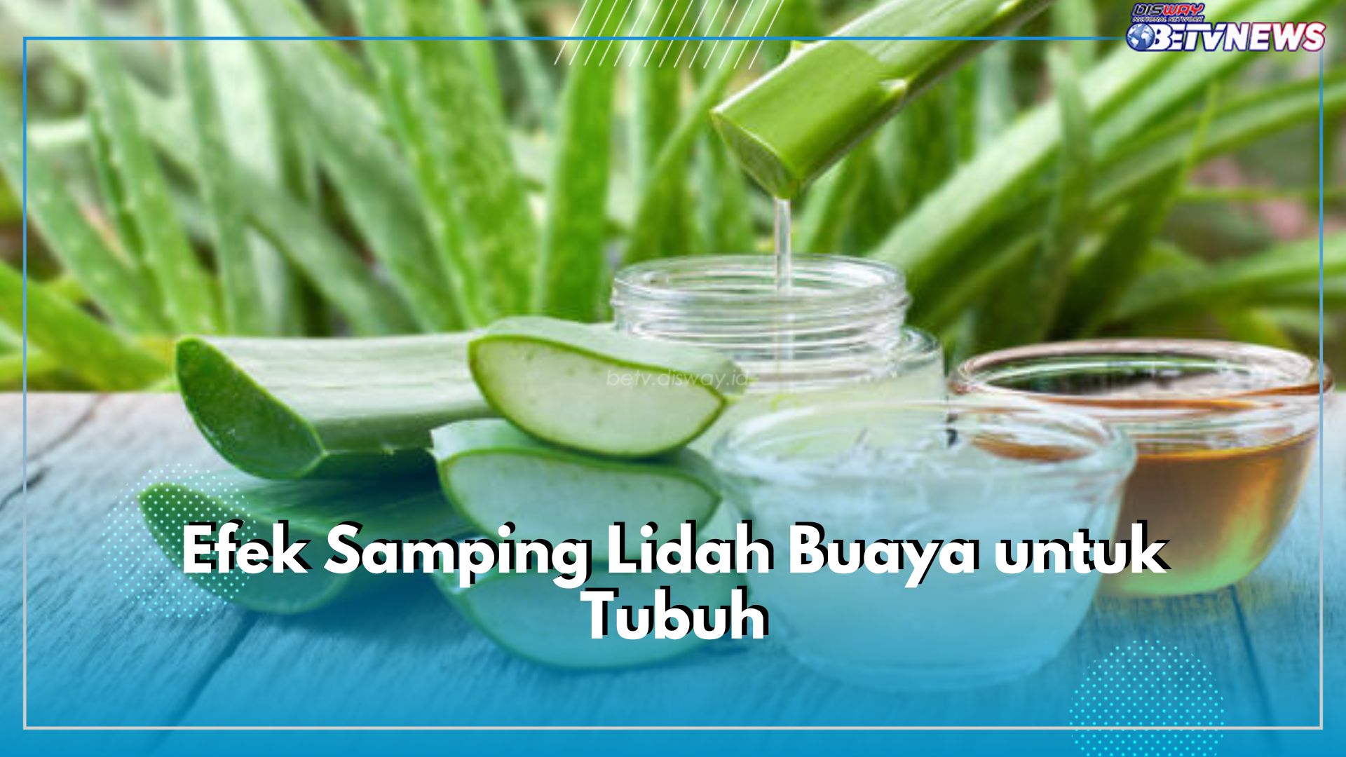 Ini 5 Efek Samping Lidah Buaya untuk Tubuh yang Perlu Kamu Waspadai, Gunakan Seperlunya!