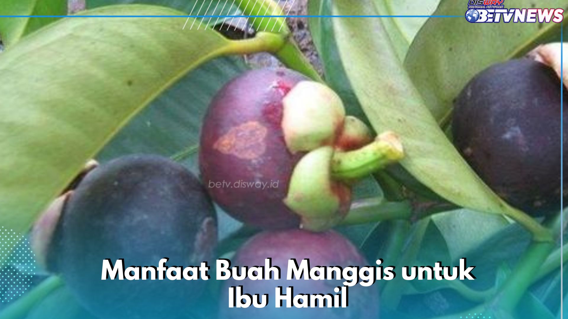 Manfaat Lain Konsumsi Buah Manggis untuk Ibu Hamil, Ampuh Mencegah Anemia