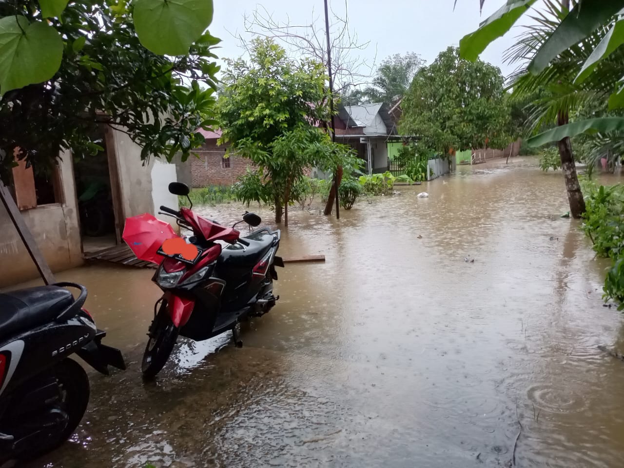 Potensi Cuaca Ekstrem di Bengkulu Diperkirakan Masih Berlanjut hingga Akhir Januari