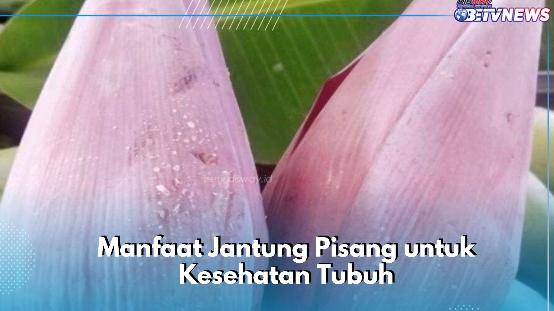 Cek Manfaat Konsumsi Jantung Pisang di Sini! Baik untuk Kesehatan Usus